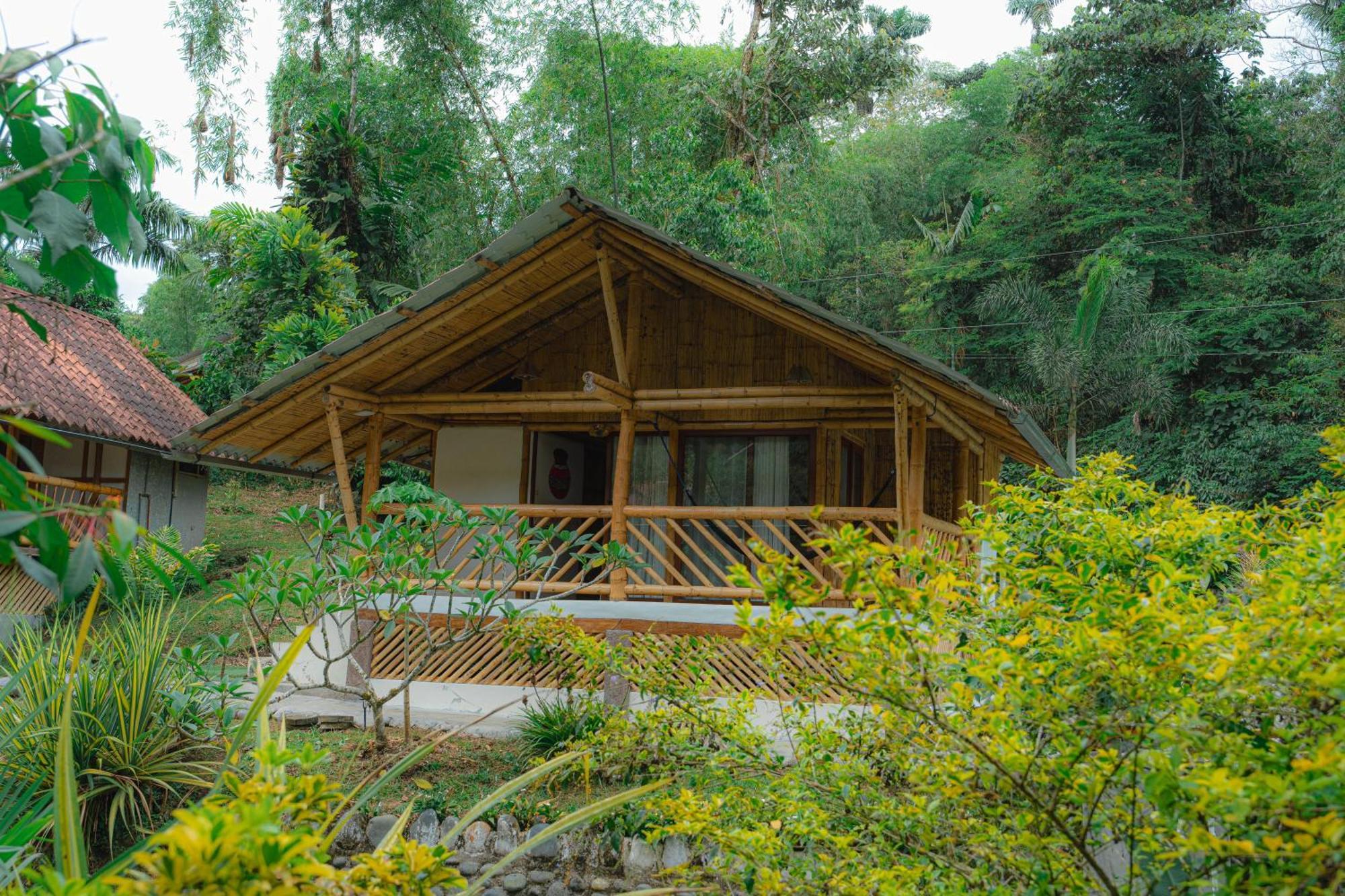 Finca Las Palmas Ecolodge Puyo Exterior foto