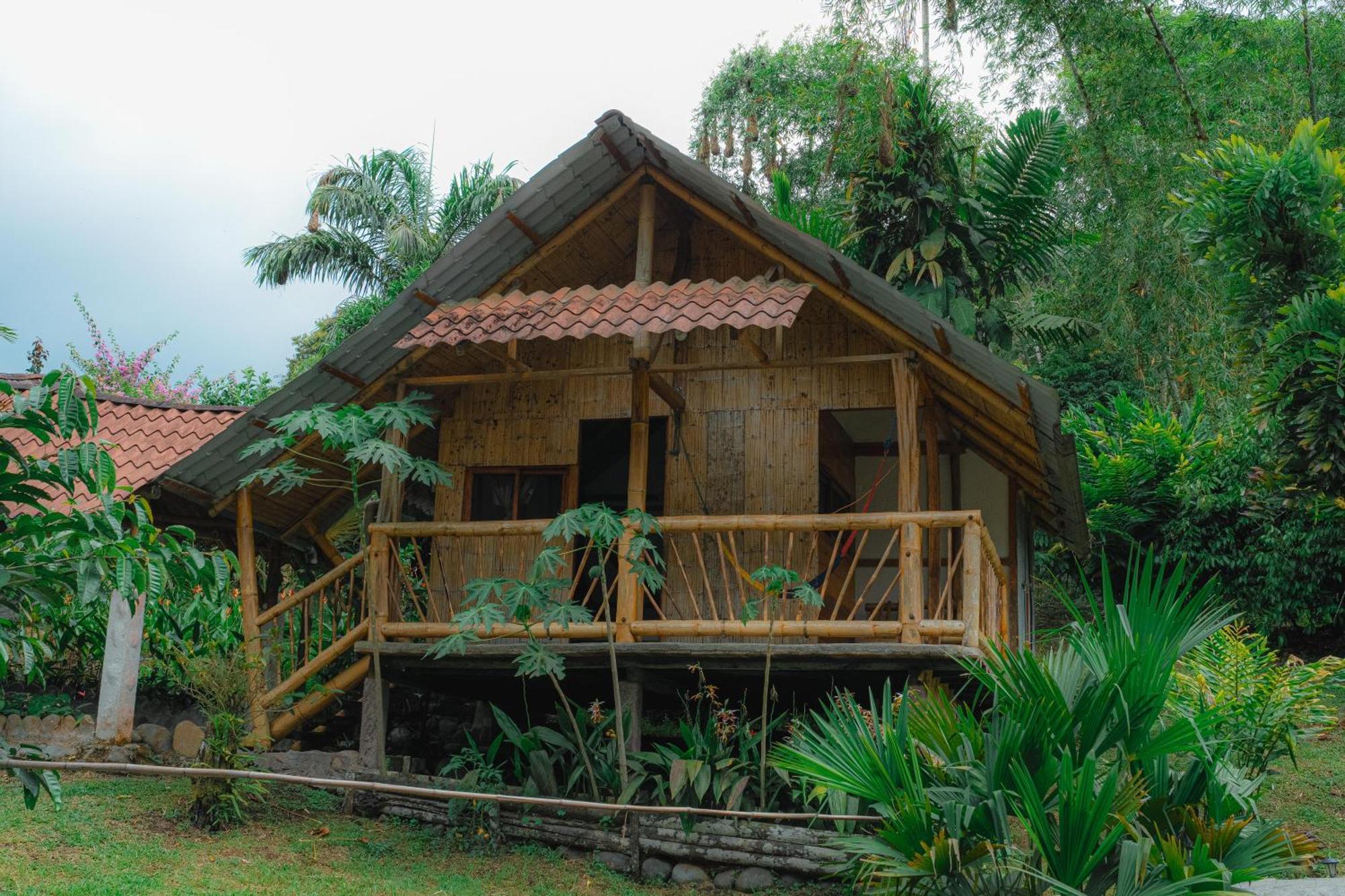Finca Las Palmas Ecolodge Puyo Exterior foto