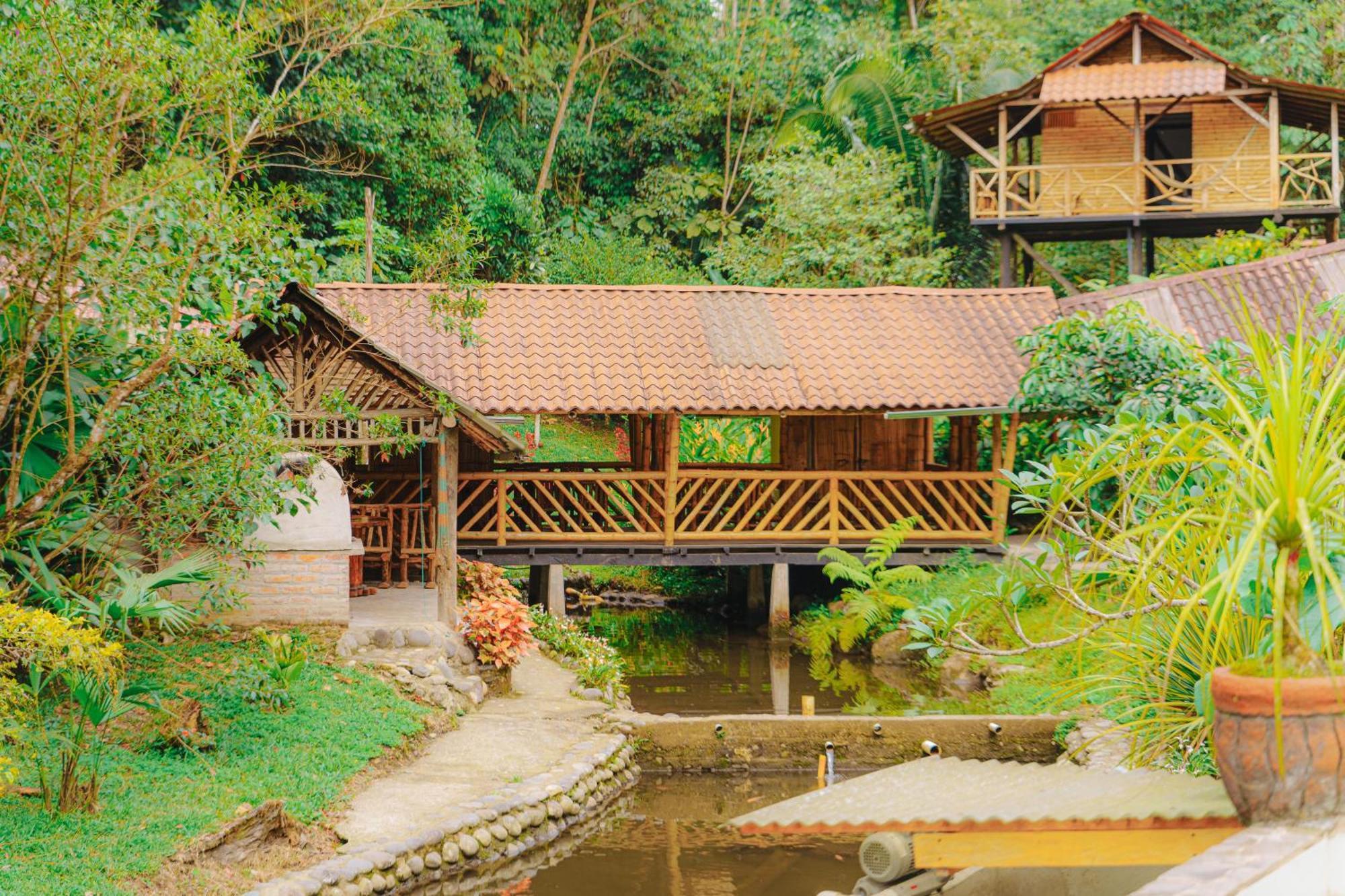 Finca Las Palmas Ecolodge Puyo Exterior foto